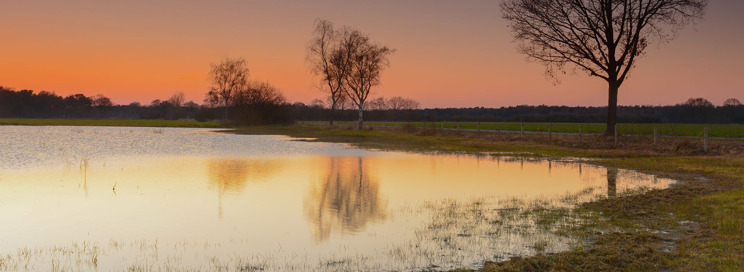 Natuurgebied
