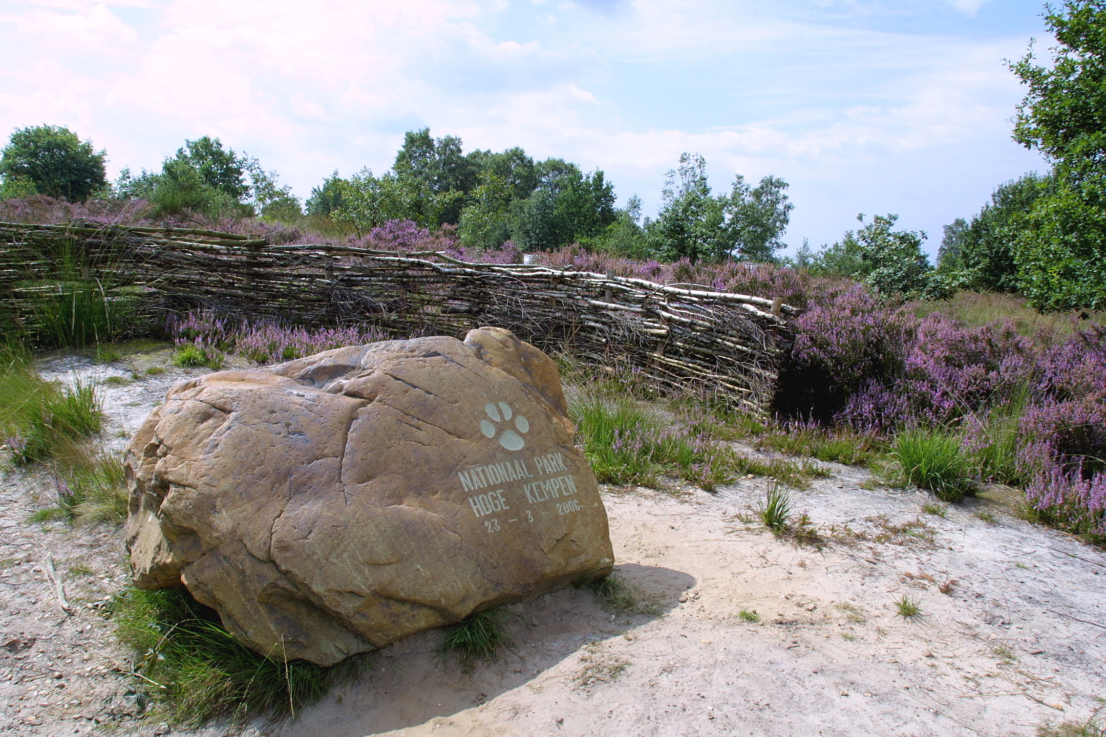 Grote steen in Mechelse Heide