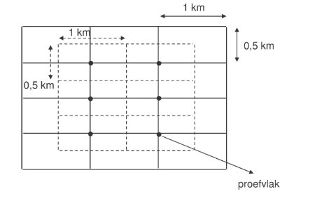 Grafiek bosinventaris proefvlak