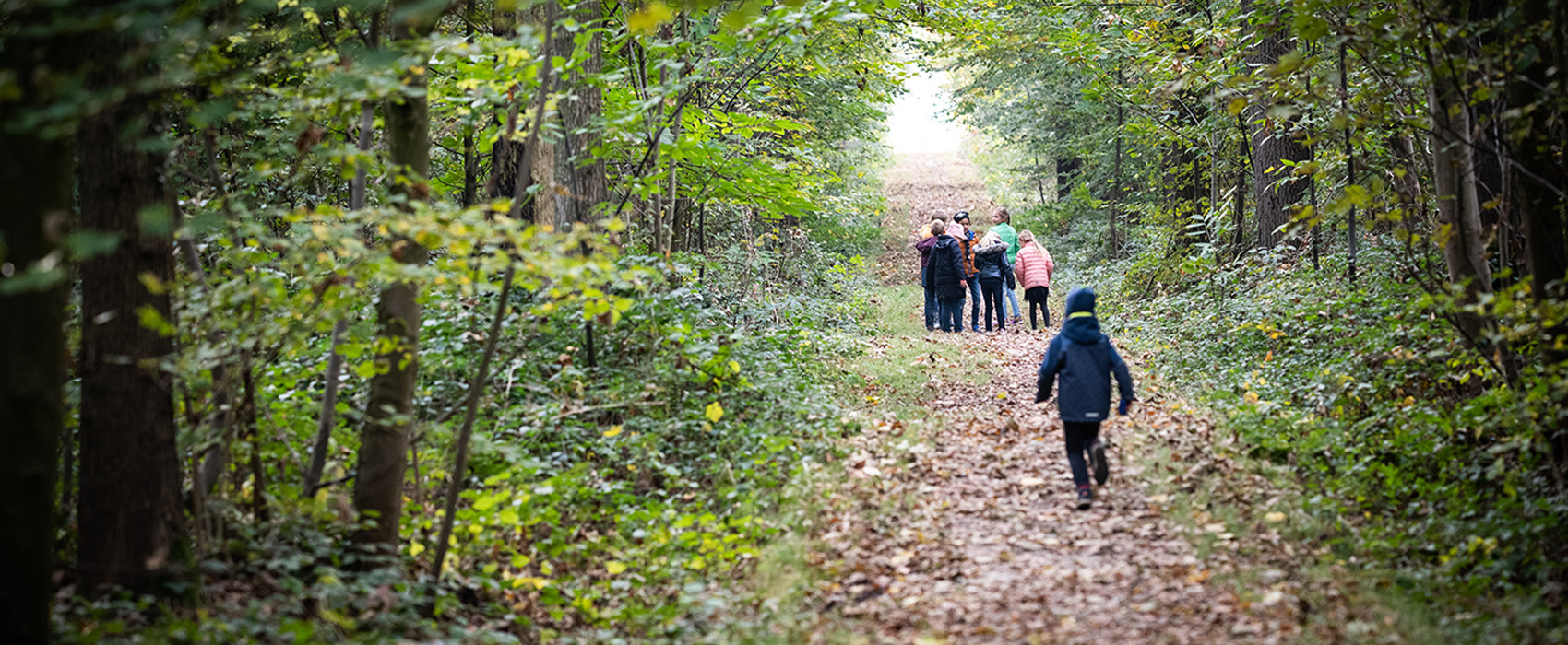 Kinderen in het bos