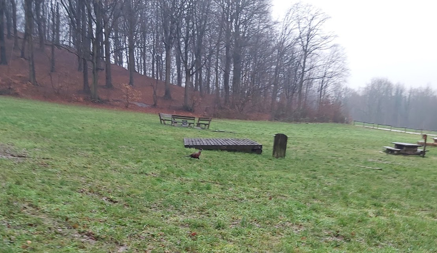 Bivakzone
