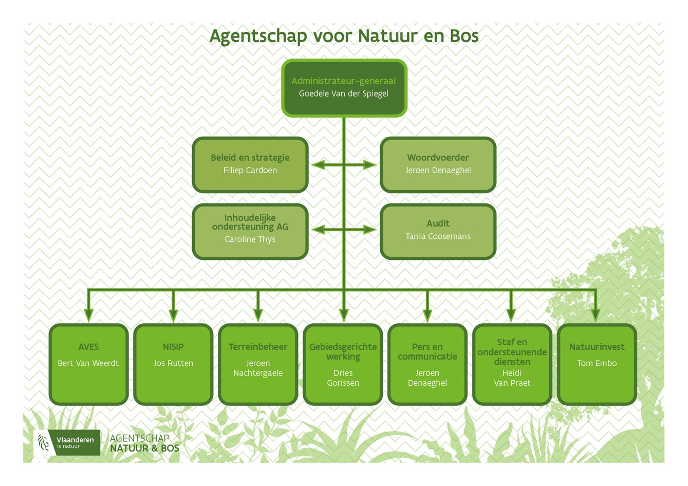 Organogram ANB