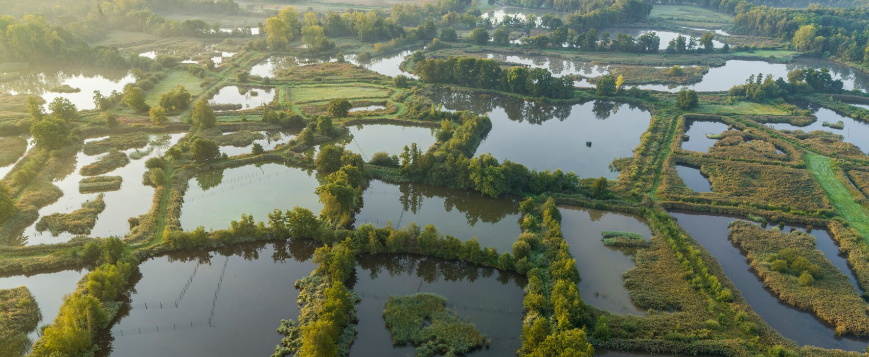 Luchtbeeld