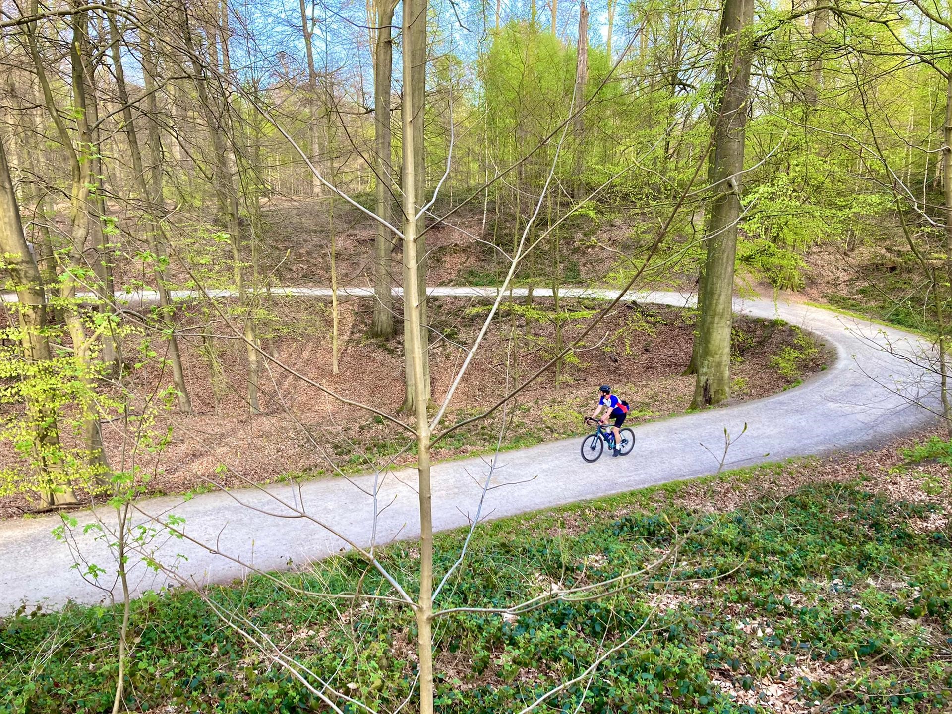 Gravelbiker in het bos