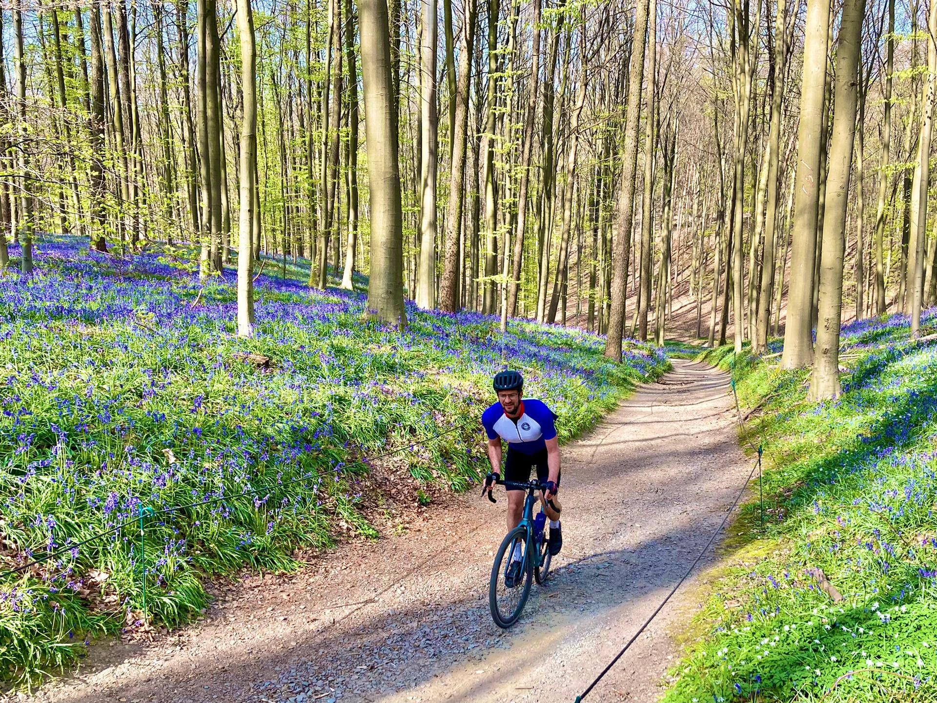 Gravelbiker tussen boshyacinten