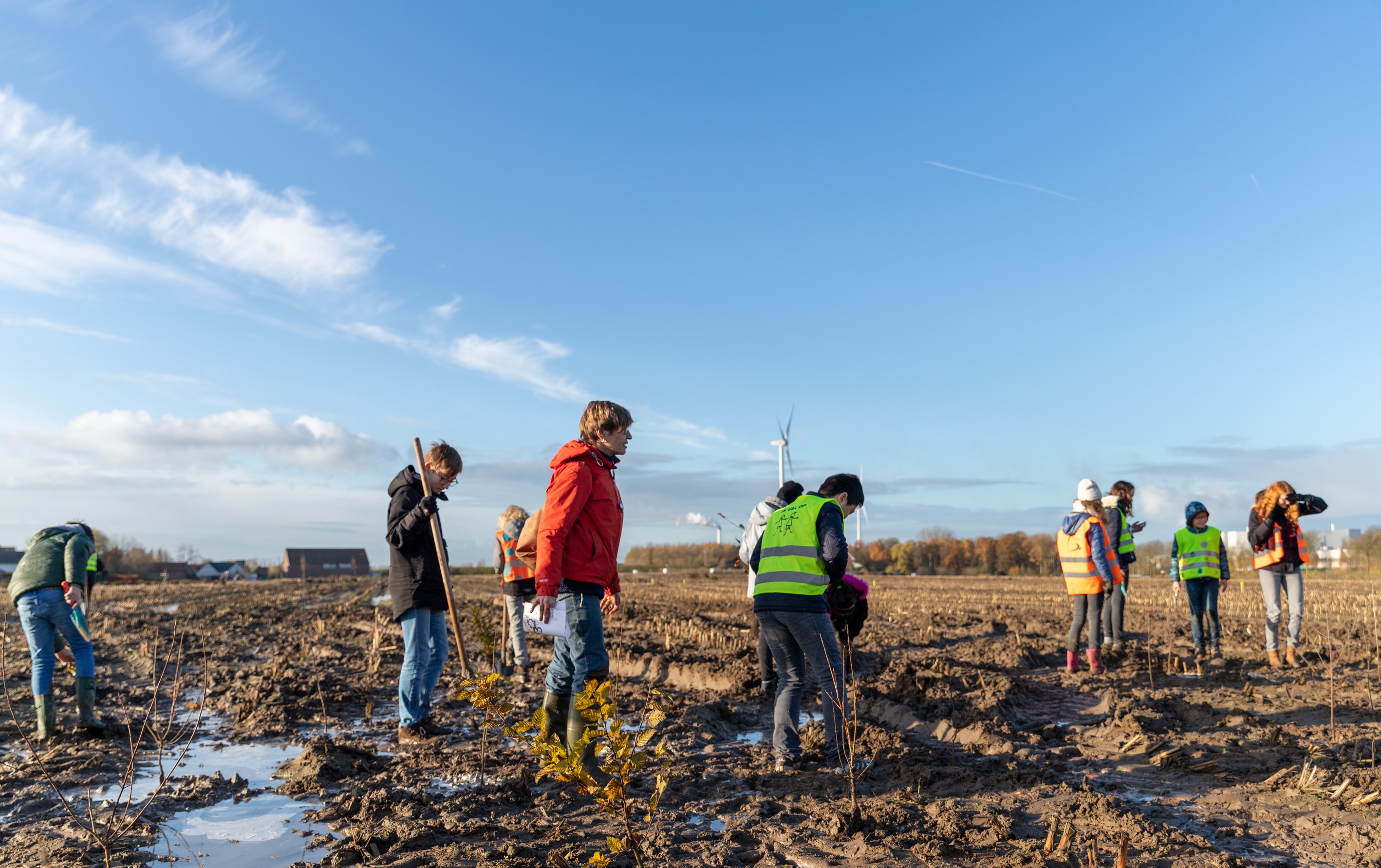 Plantactie 