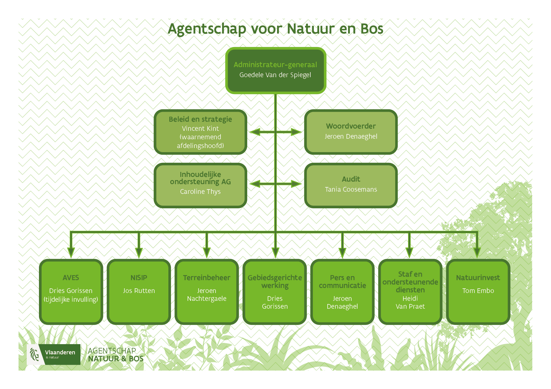 organogram ANB nov 2024