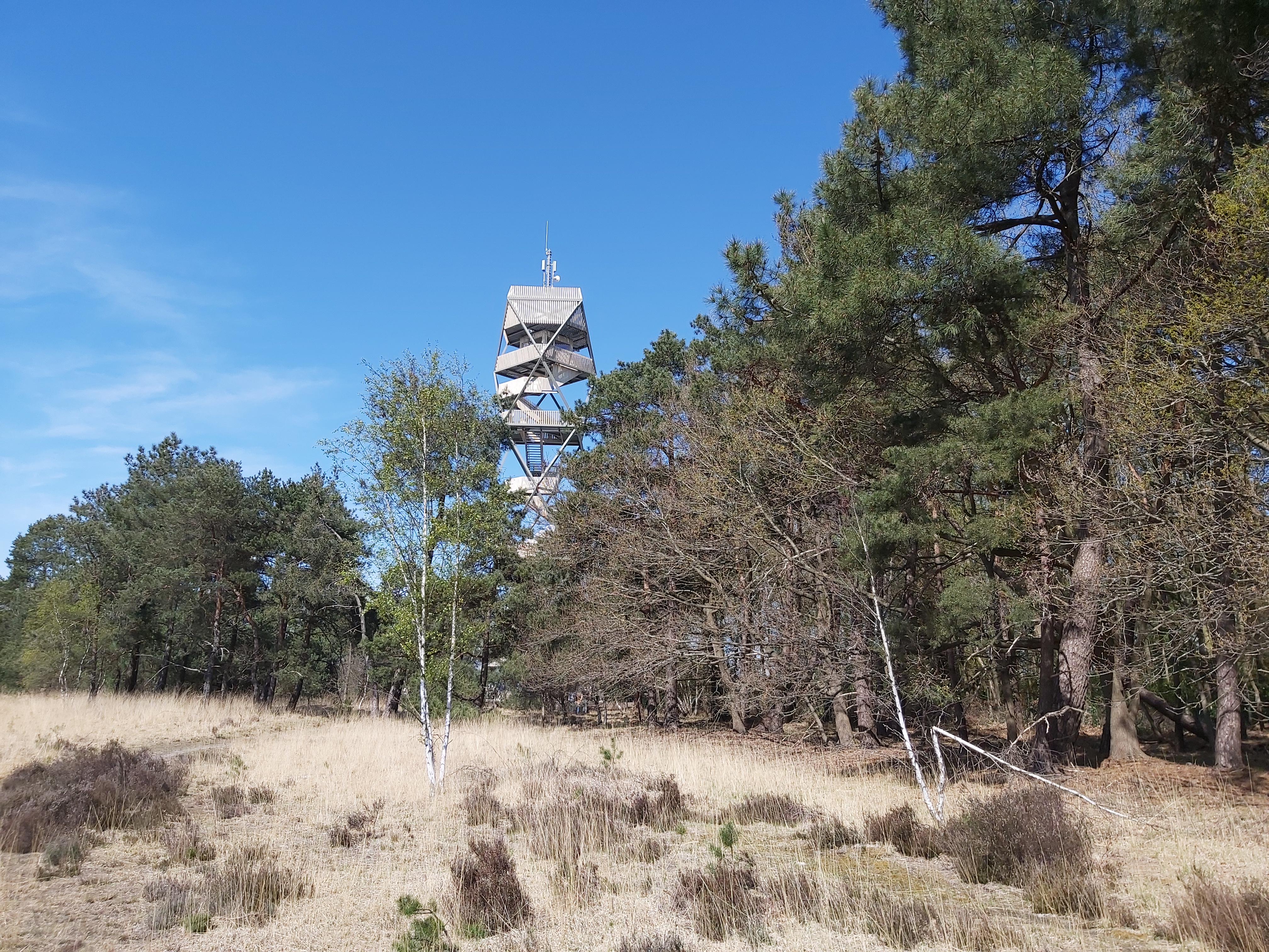 Grenspark Kalmthoutse Heide