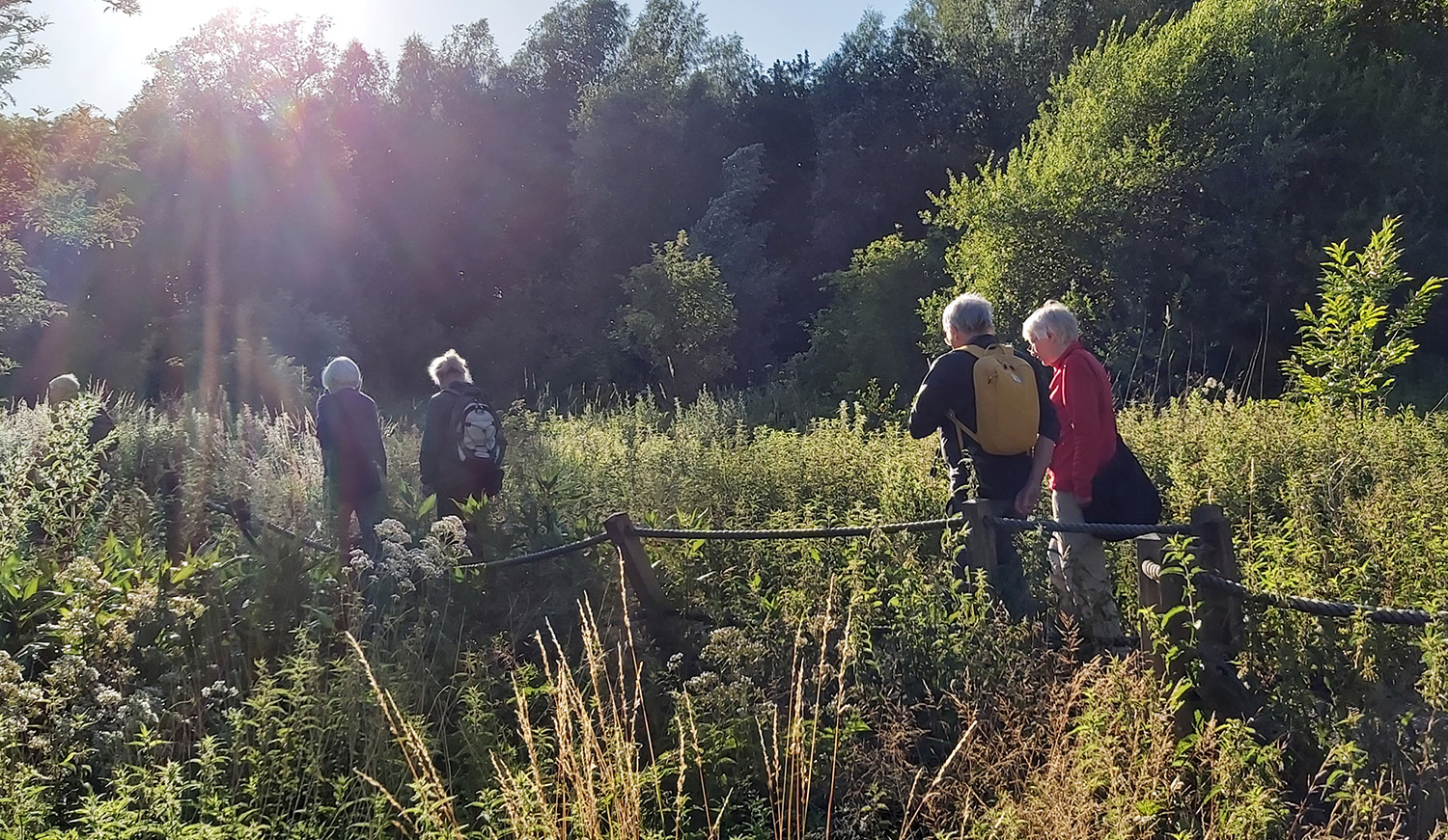 Geleide wandeling