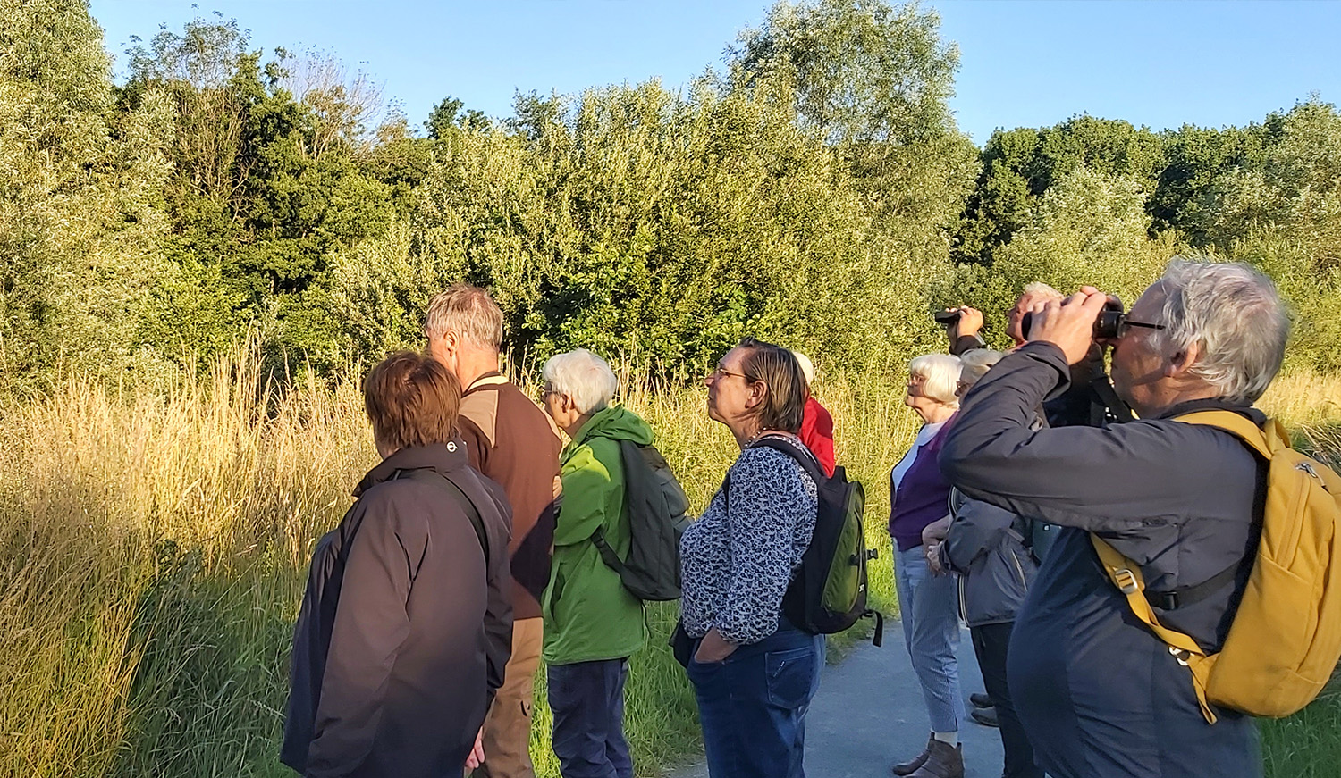 Geleide wandeling