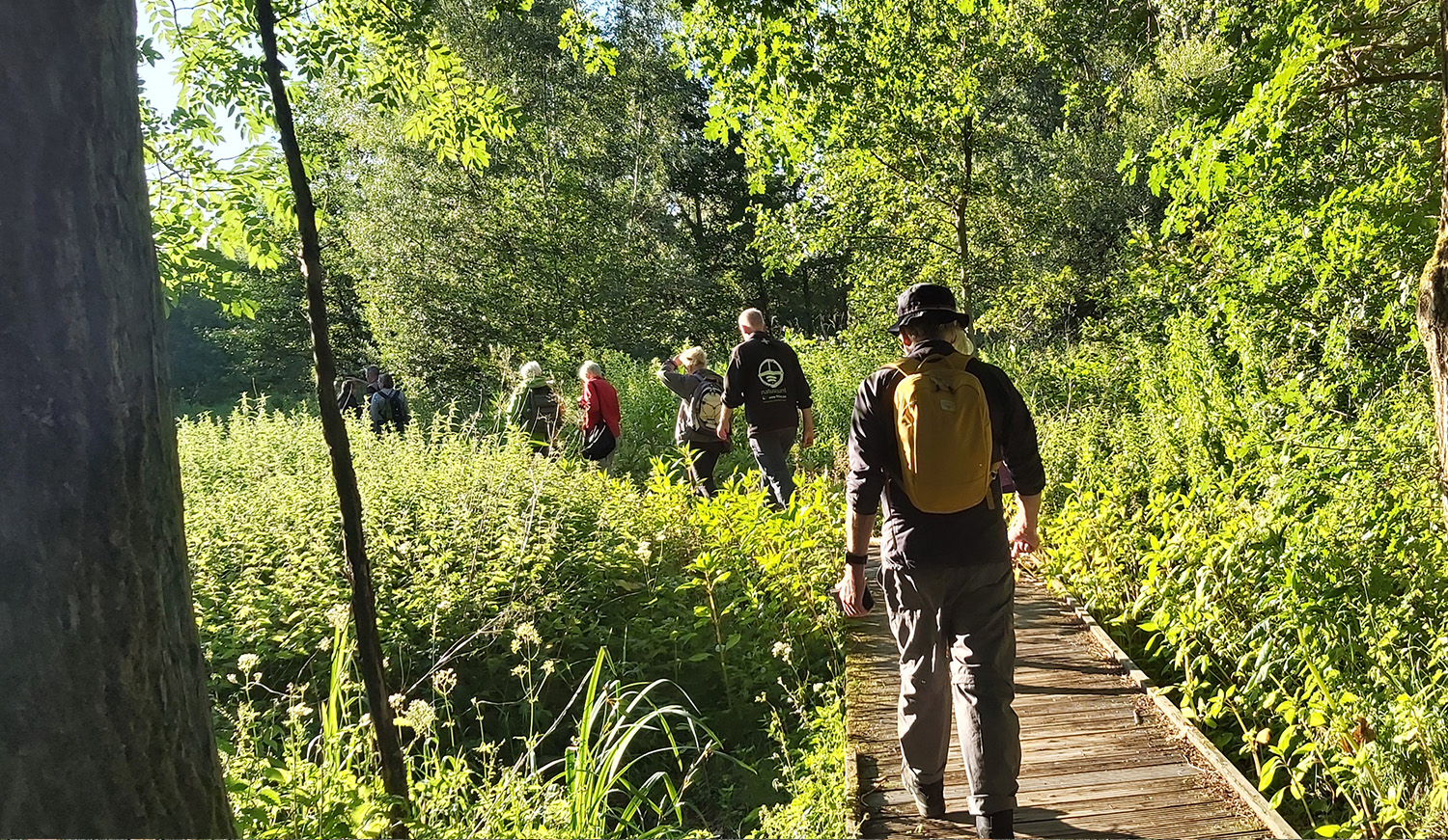 Geleide wandeling