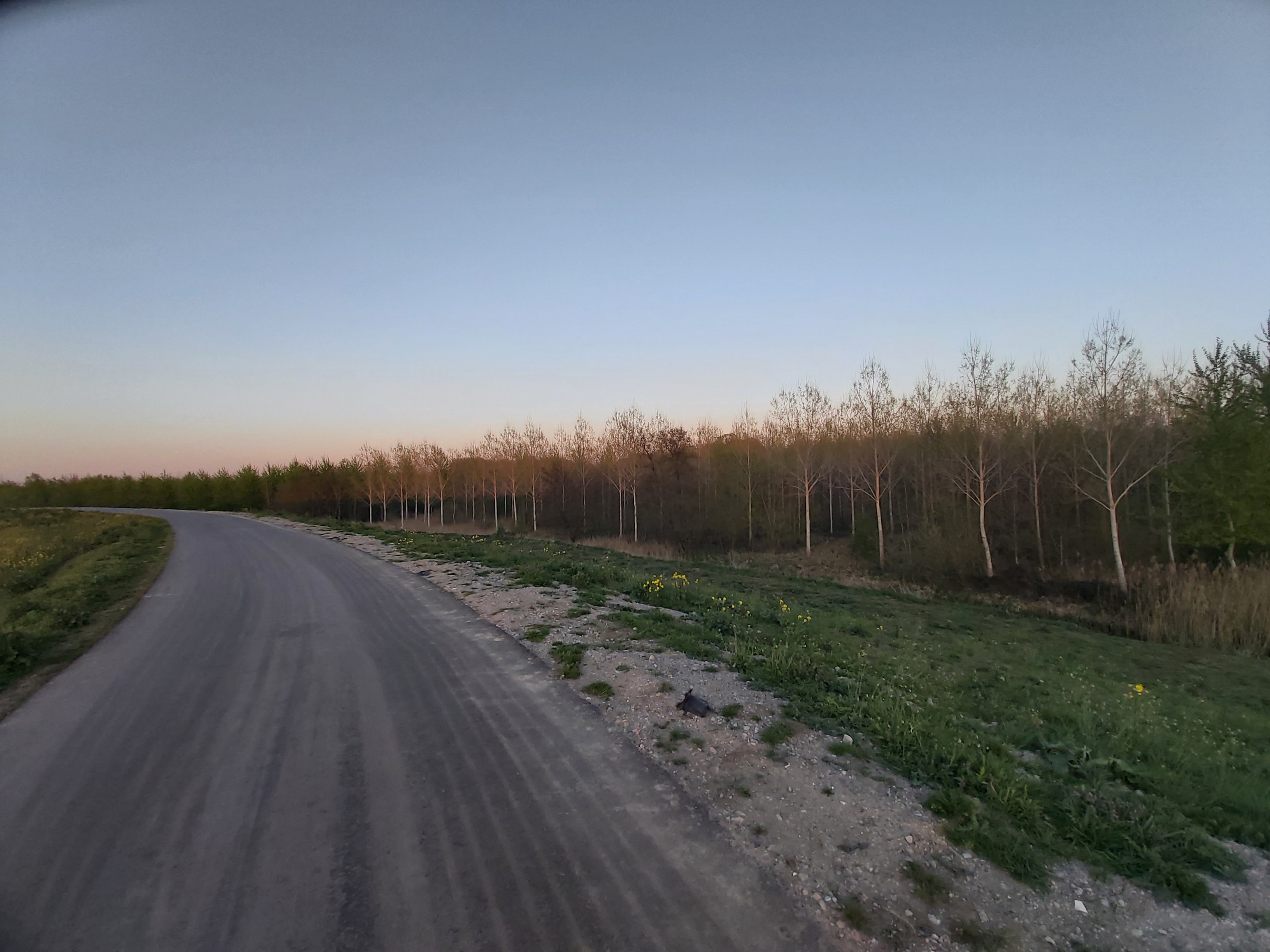 Hingenebroekpolder