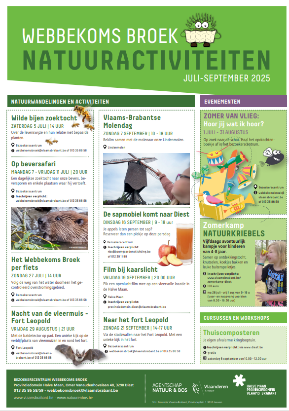 zomeractiviteiten