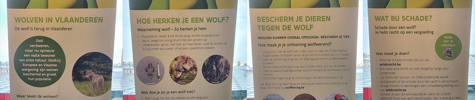 Infobanners