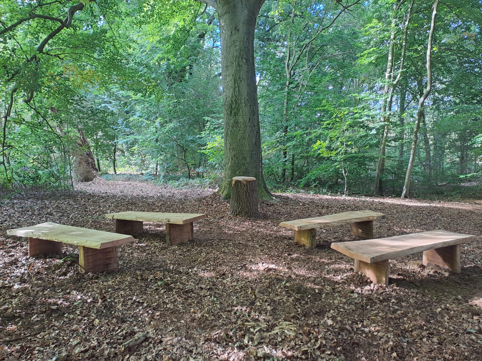 natuurbegraafplek diest