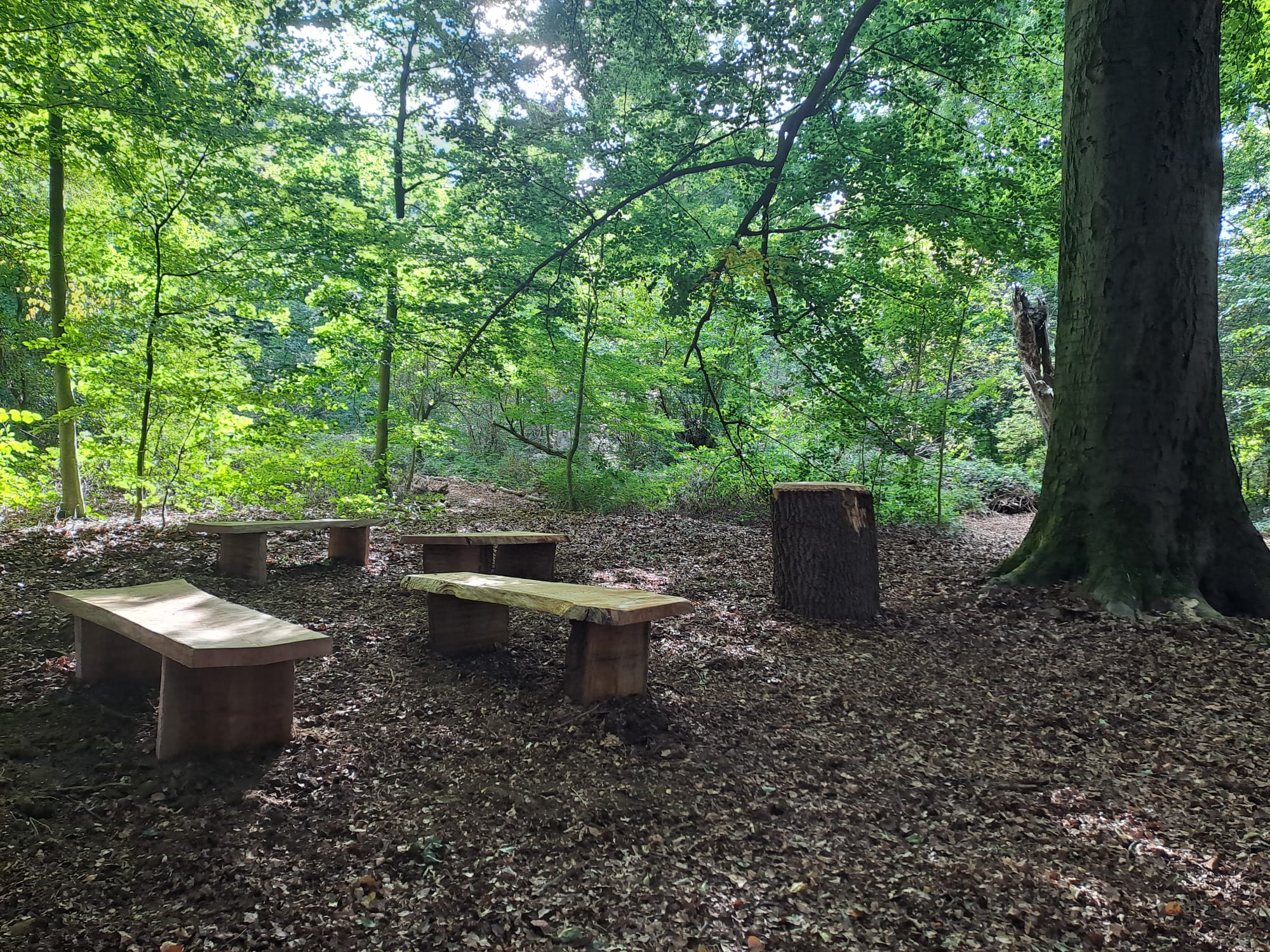 natuurbegraafplek diest