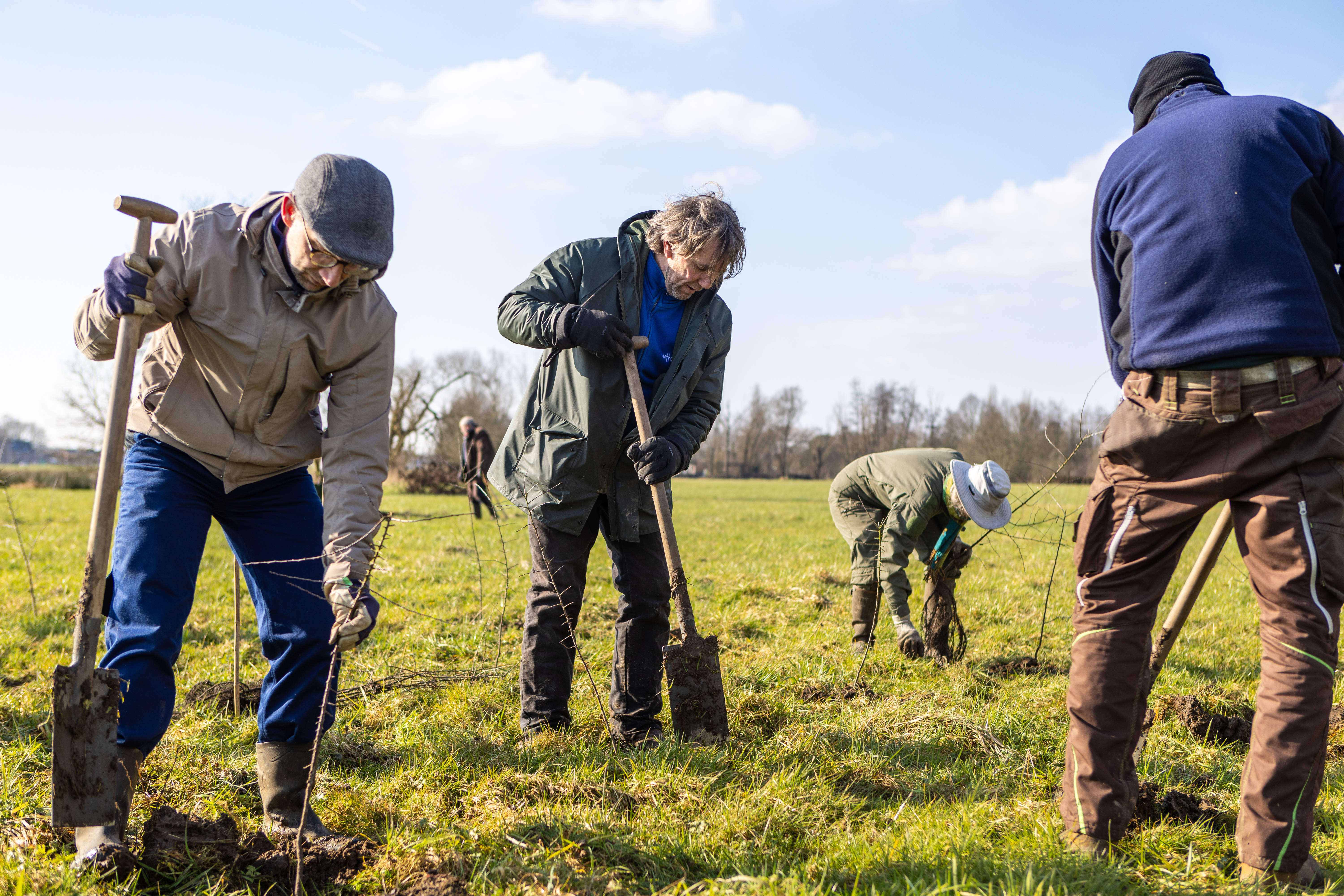 bomen planten provincie Antwerpen