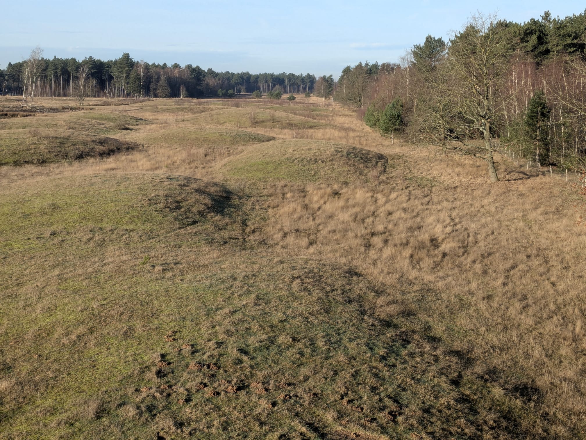 landschap in Eksterheide