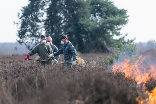 Beheerbrand Mechelse Heide