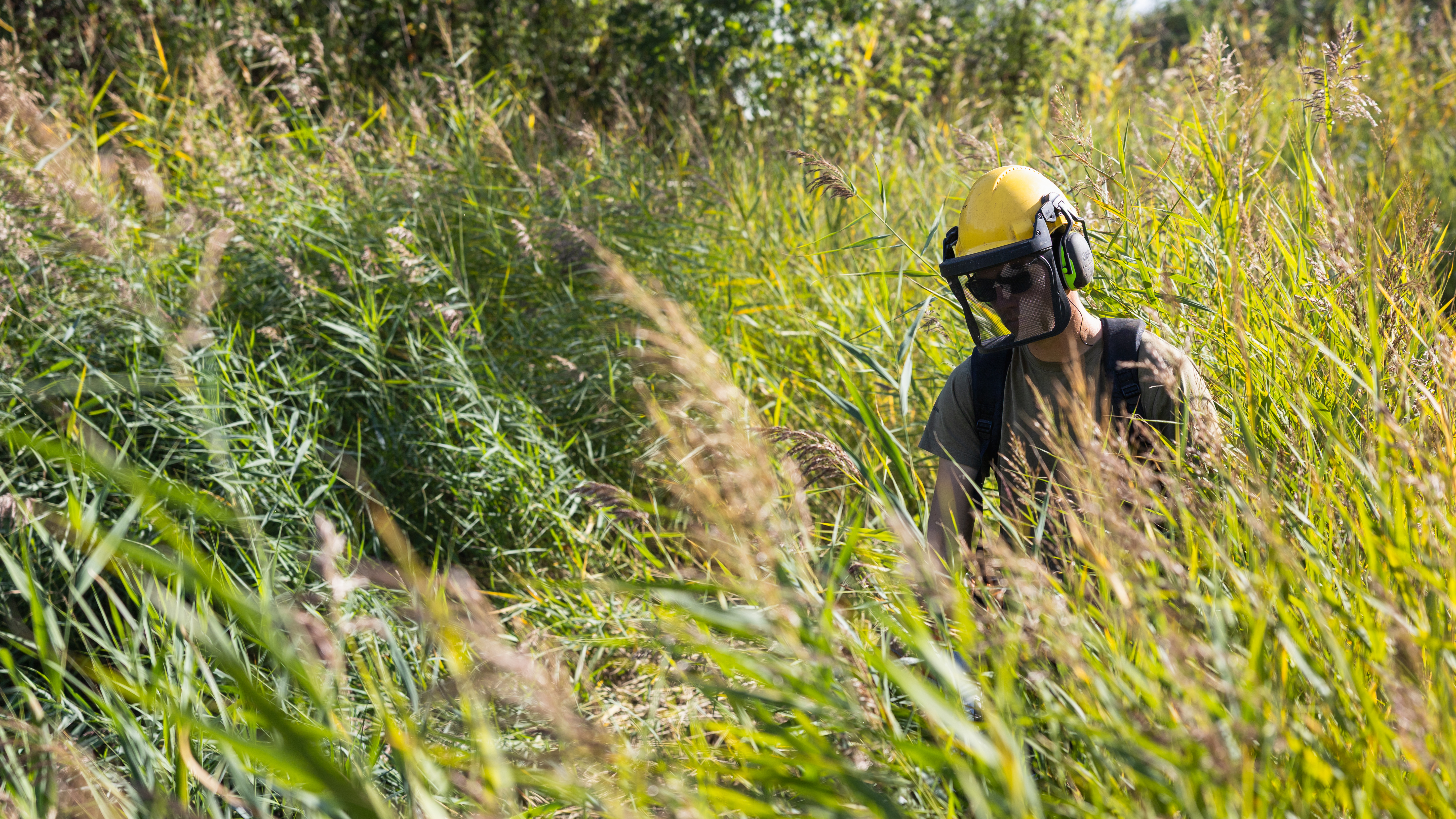 Groenarbeider maait aan poel