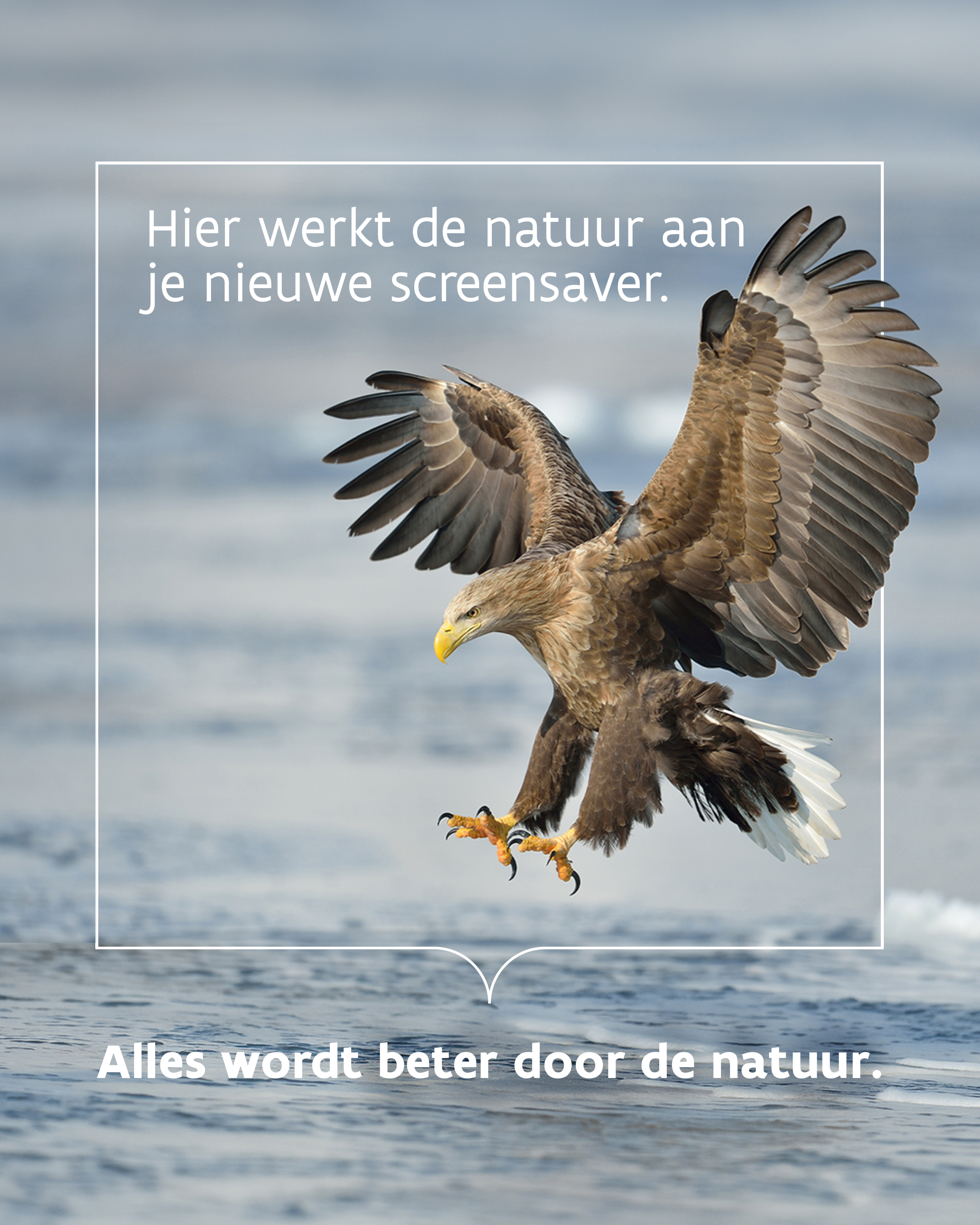 Campagnebeeld Alles wordt beter door de natuur Blankaart