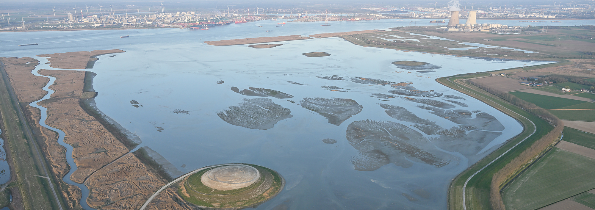 Hedwigeprosperpolder