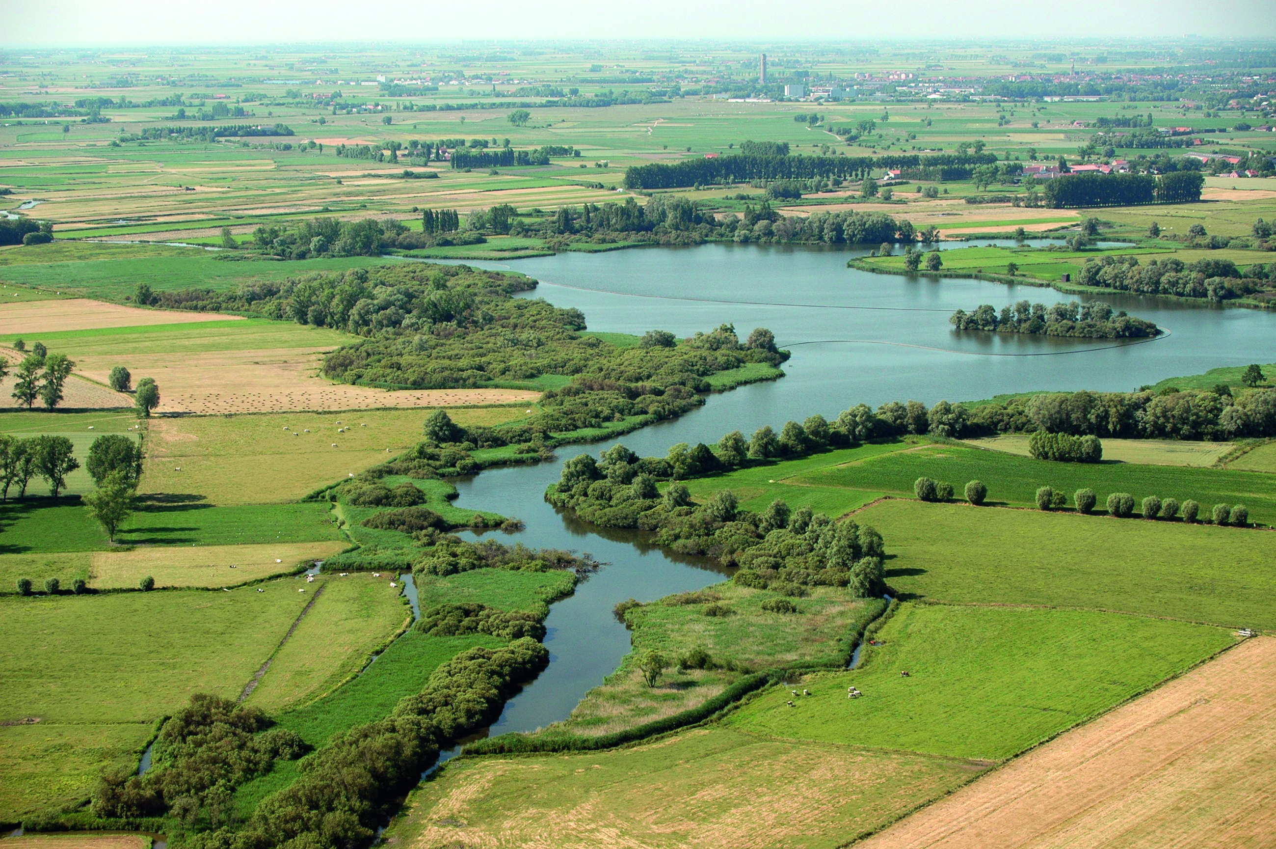 luchtbeeld