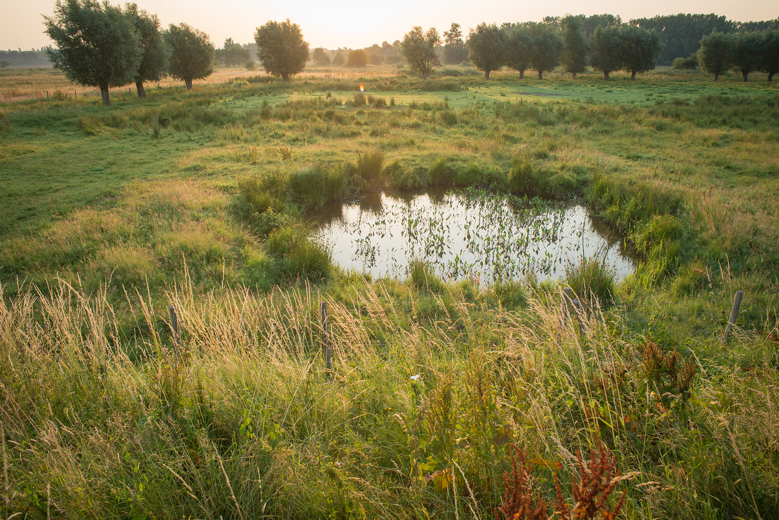 landschapsbeeld
