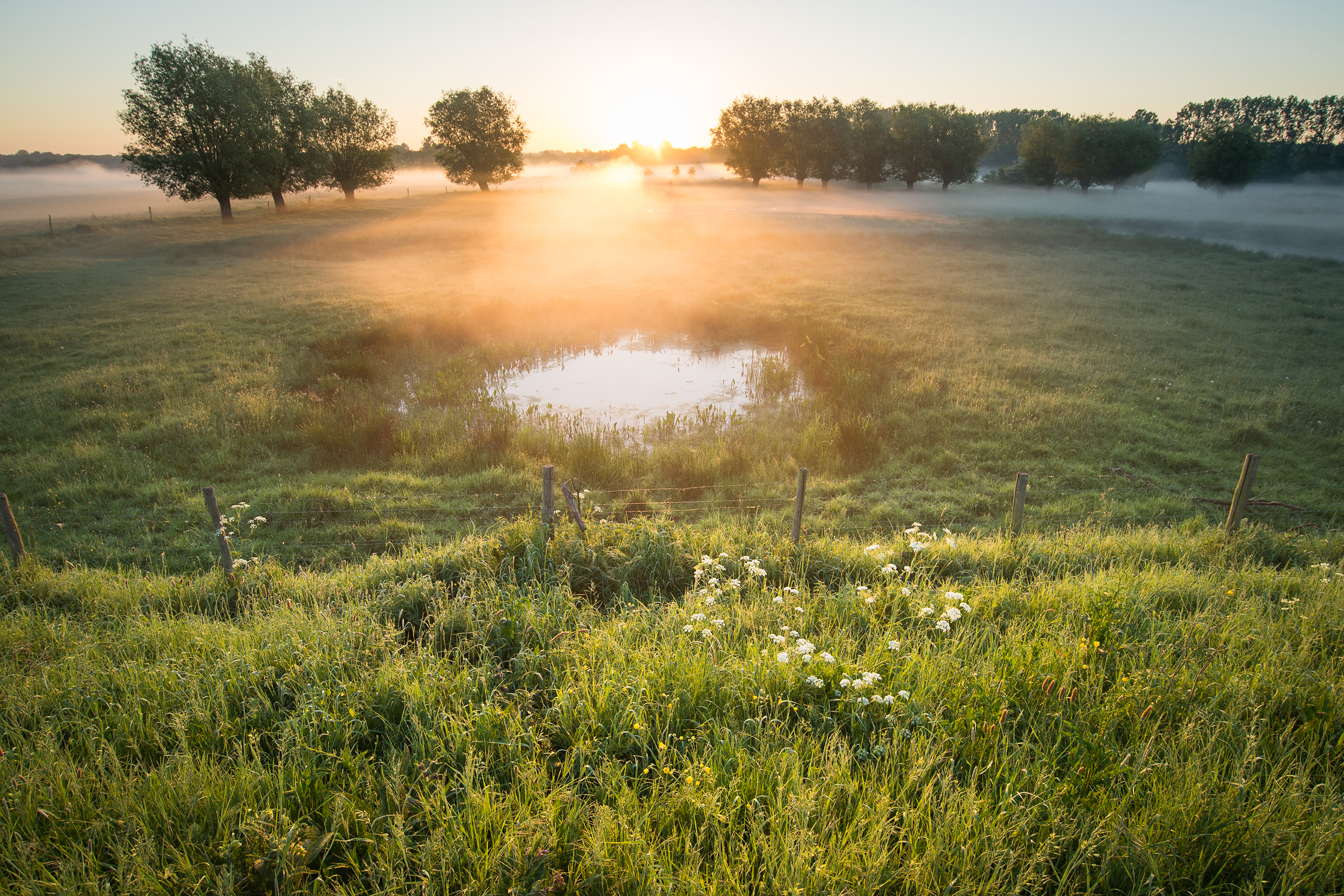 landschapsbeeld