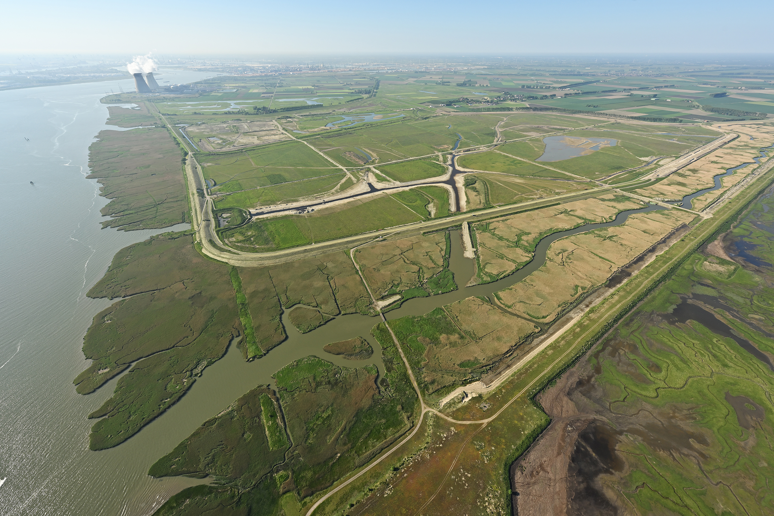 Hedwigeprosperpolder
