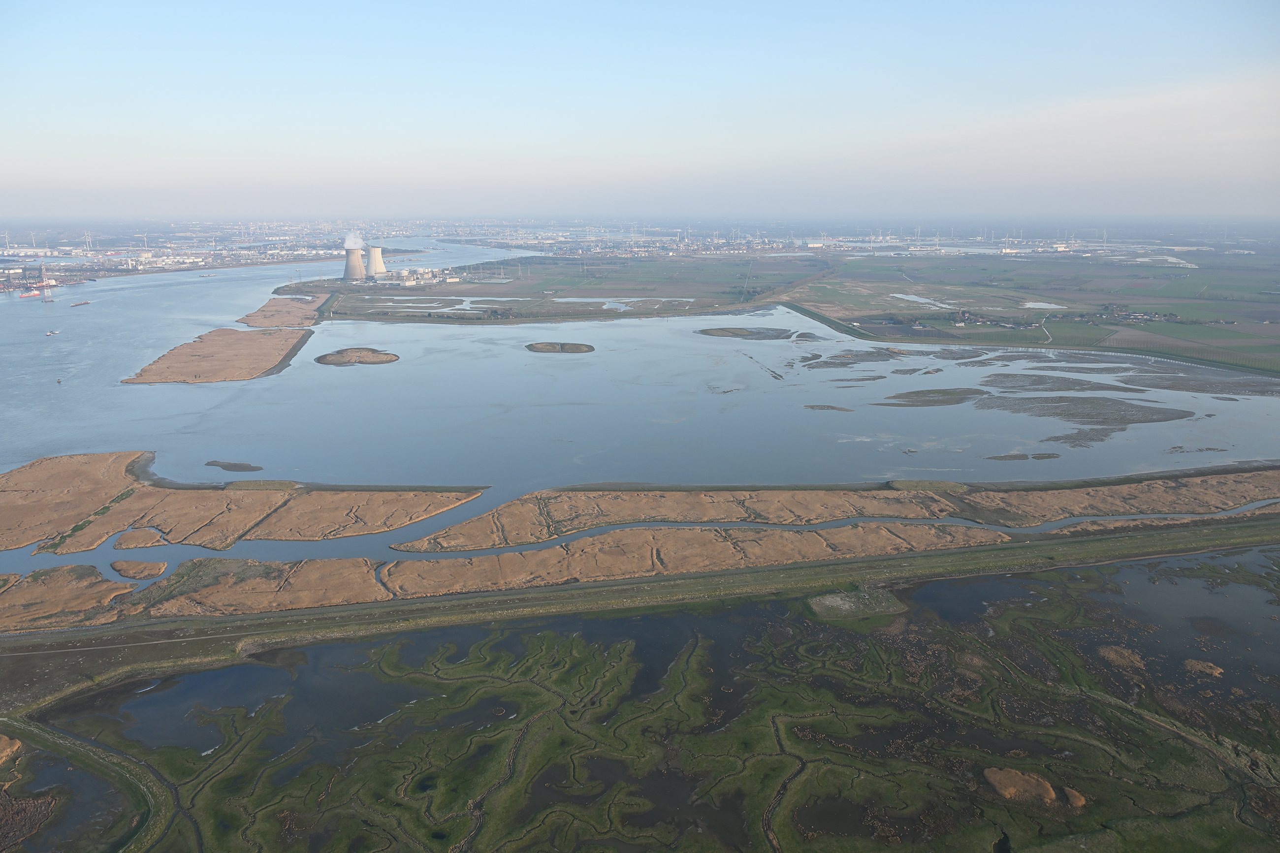 Hedwigeprosperpolder