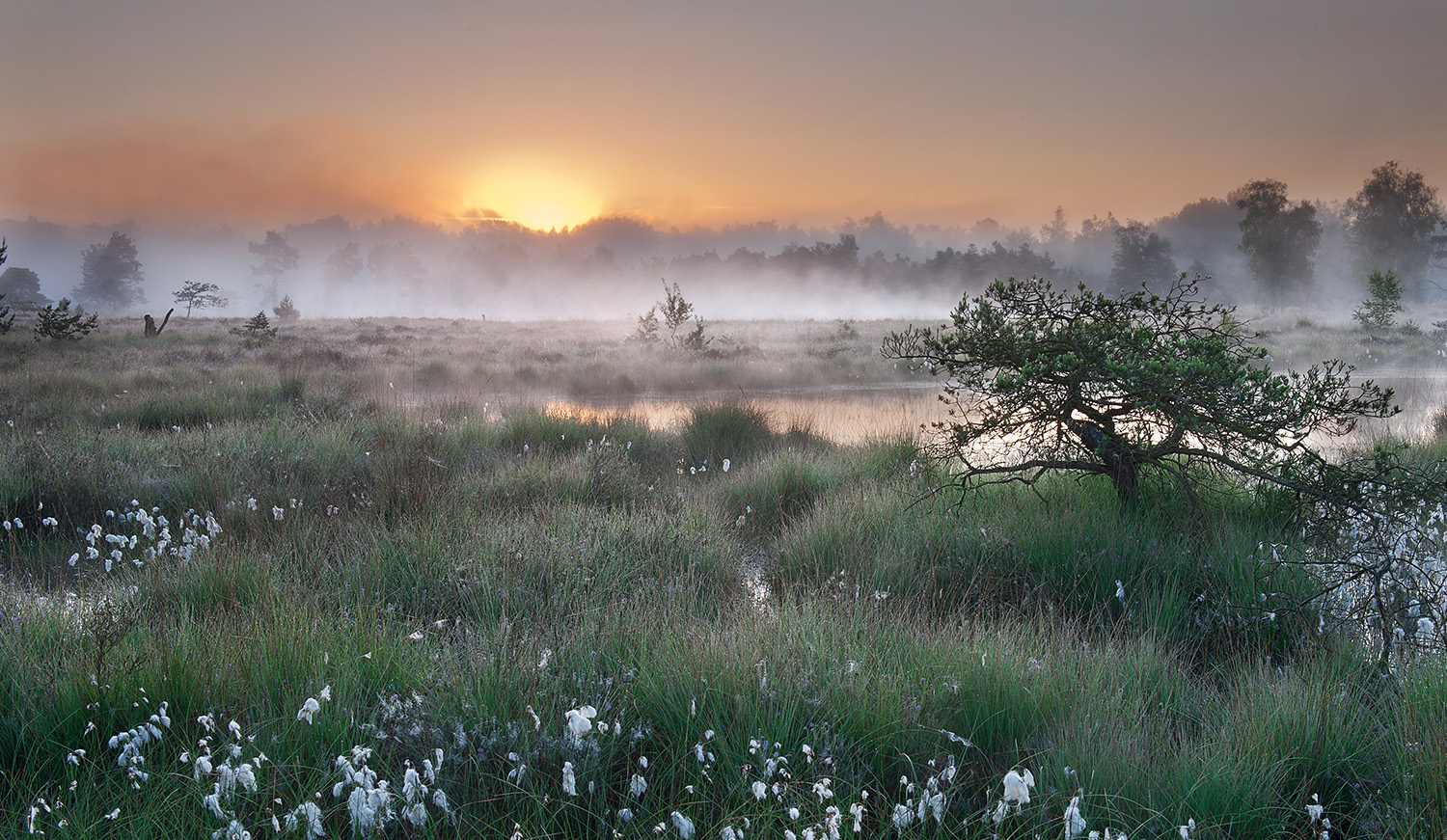 Landschapsbeeld