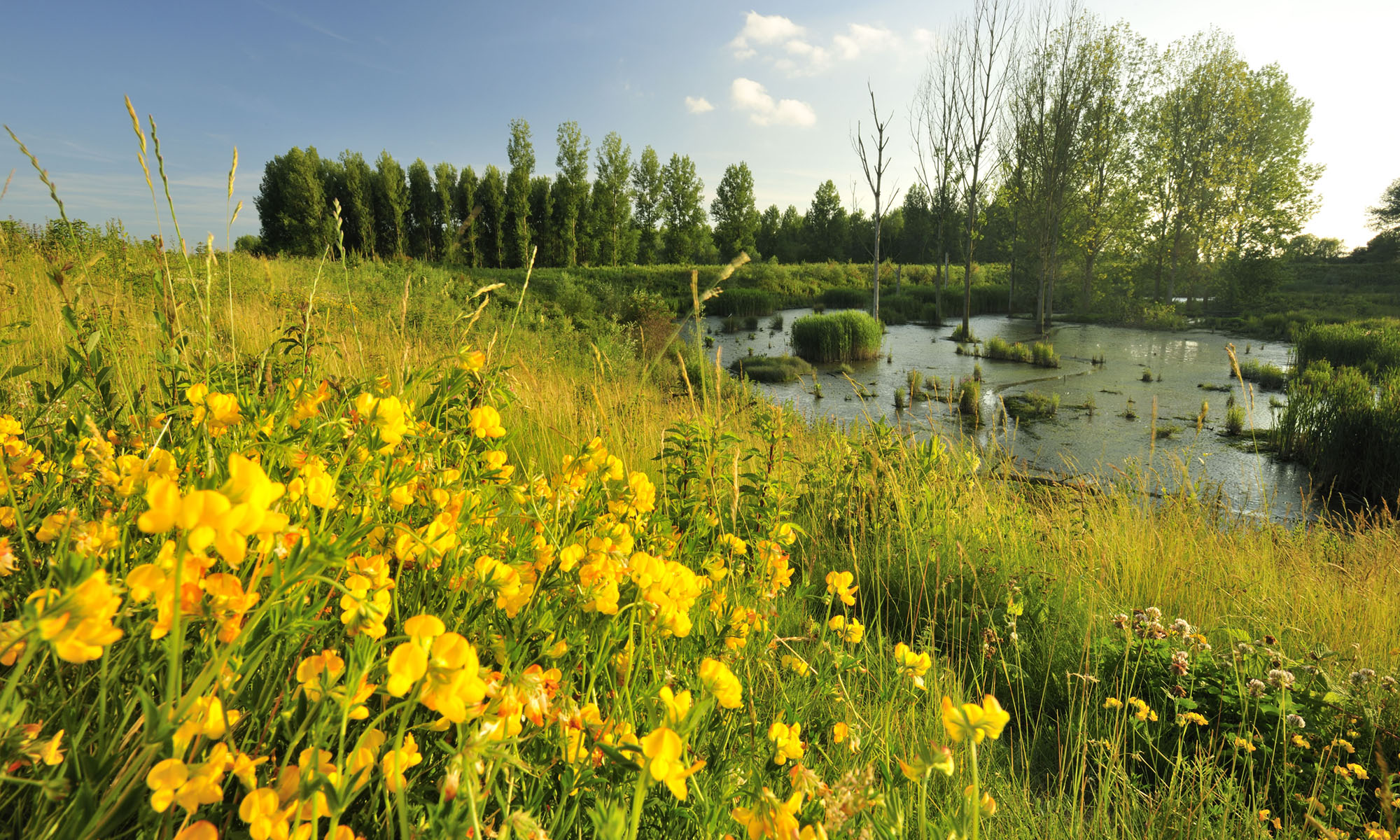 Getijdennatuur