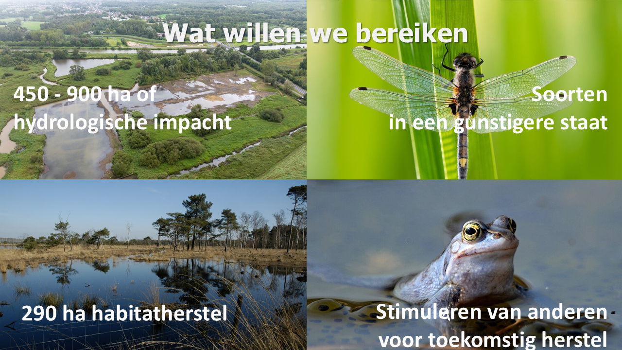 Foto's doelstellingen