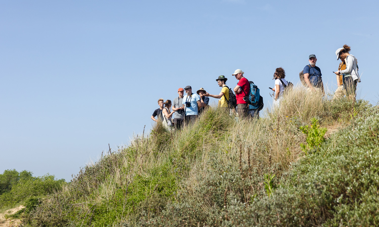 Groep in duinen