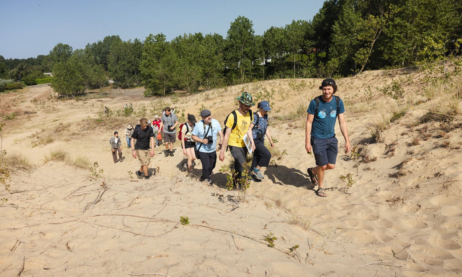 Groep in duinen