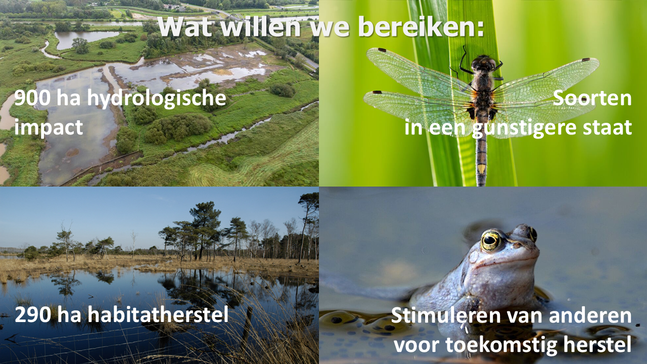 Doelstellingen