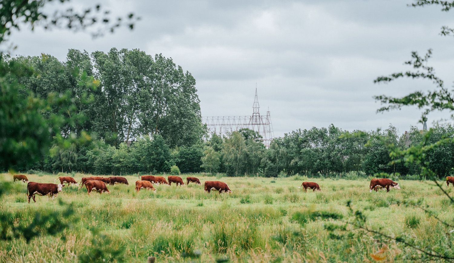 Landschapsbeeld
