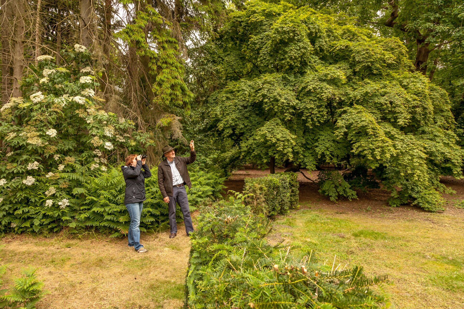 Uitleg in het arboretum