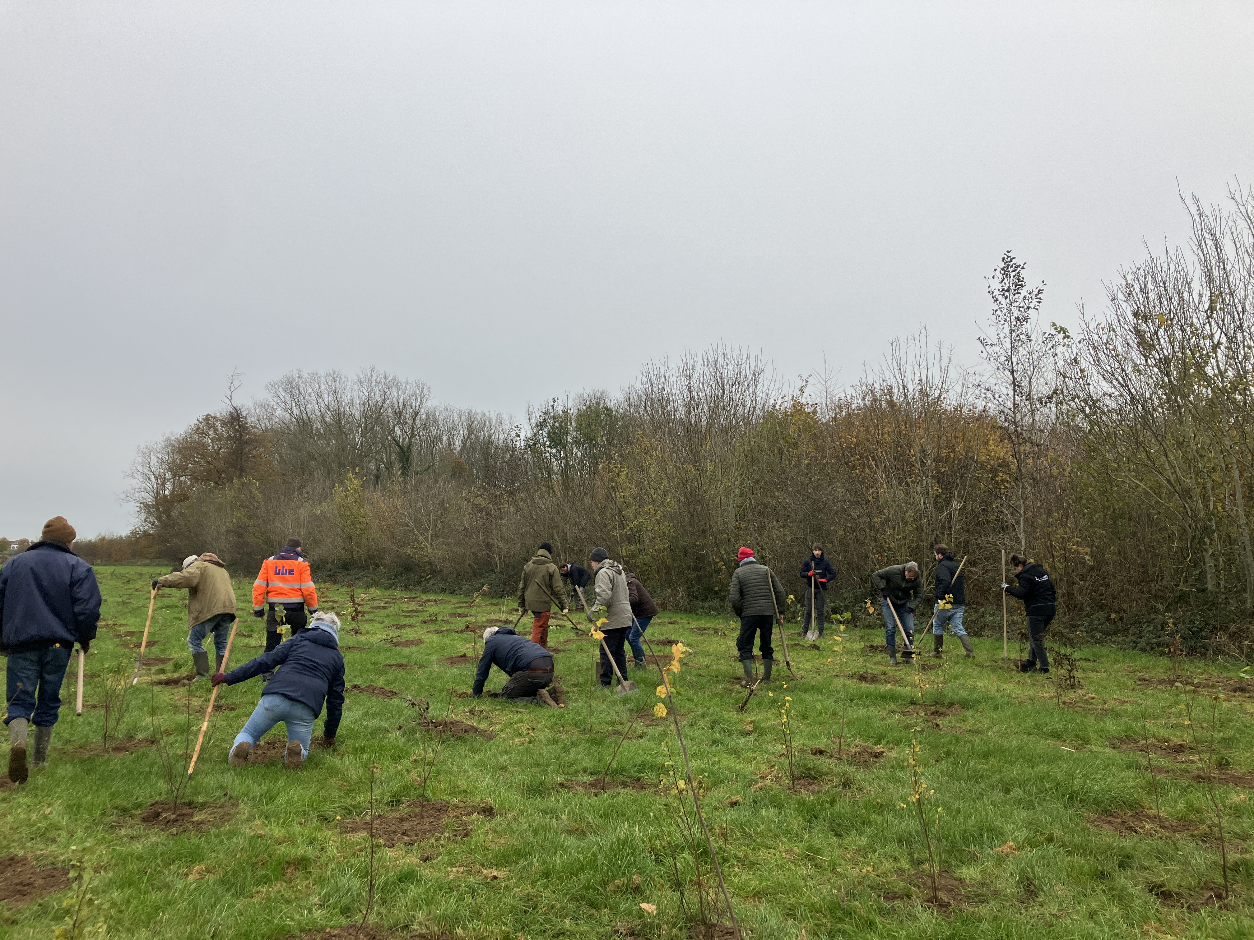 Plantactie