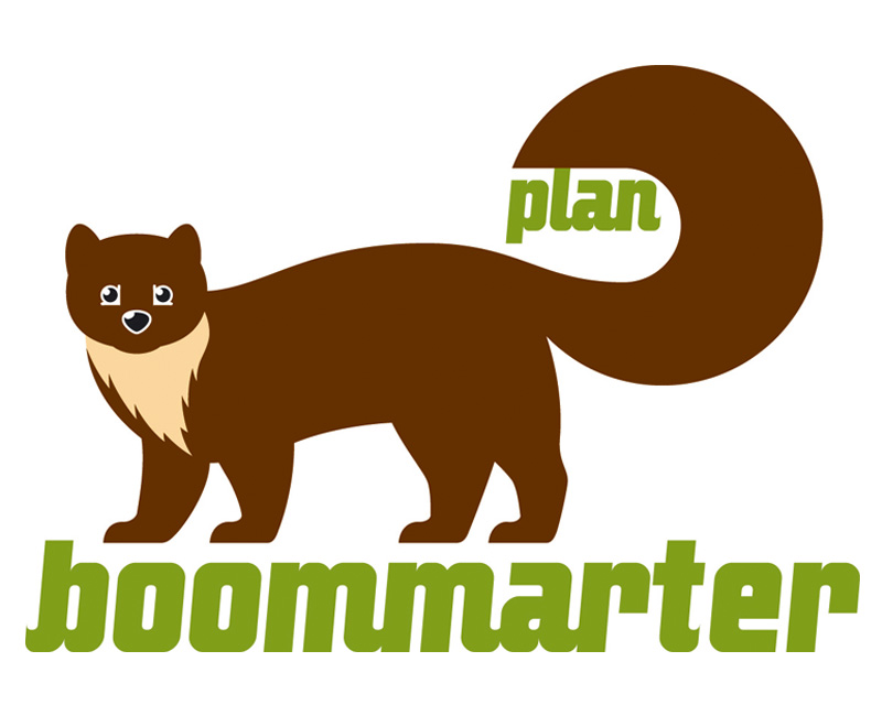 Logo plan boommarter