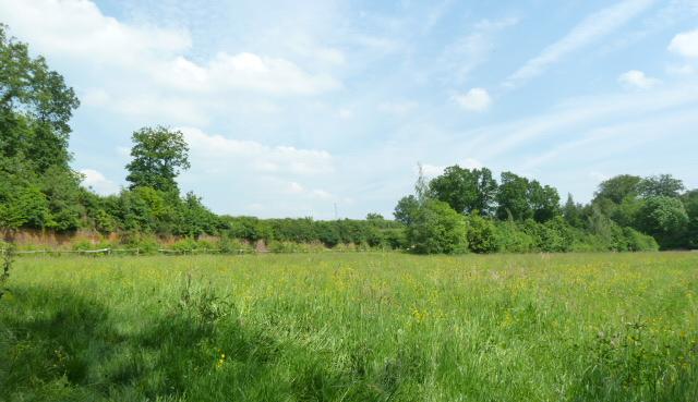 Landschapsbeeld