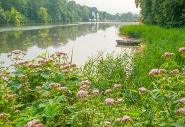 Landschapsbeeld