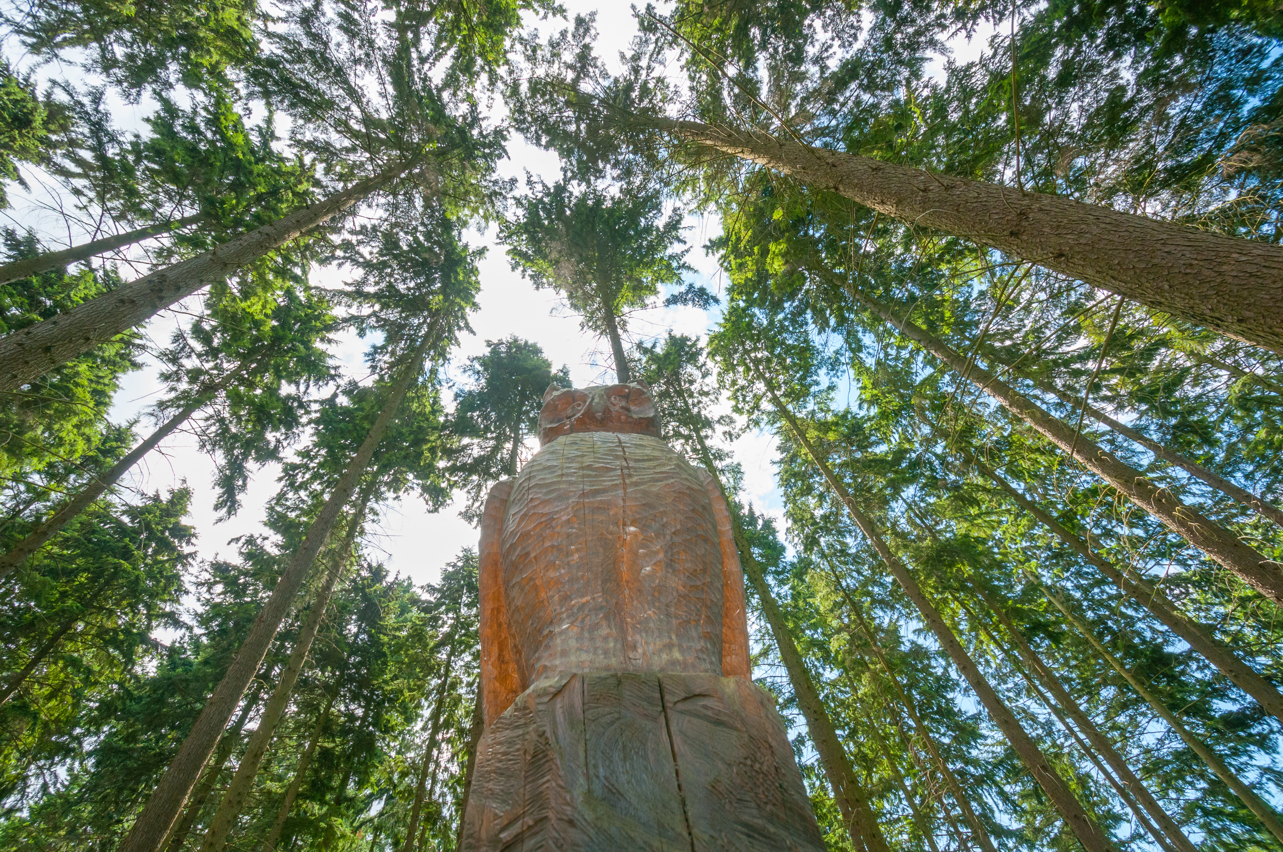 Houtsculptuur