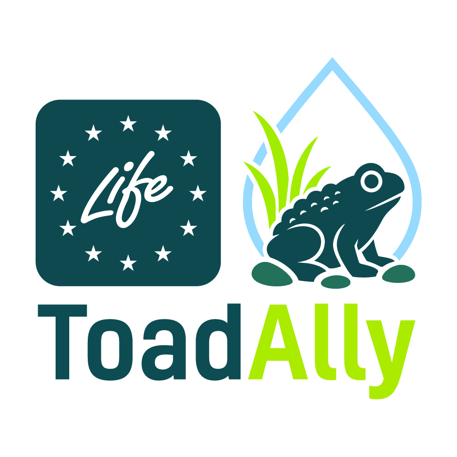 logo toadally