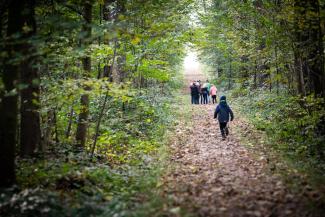 Couthofbos