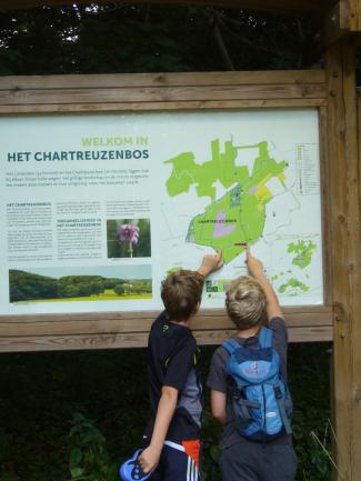 Chartreuzenbos©Julka Rubbens