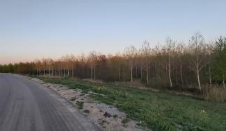 Landschapsbeeld