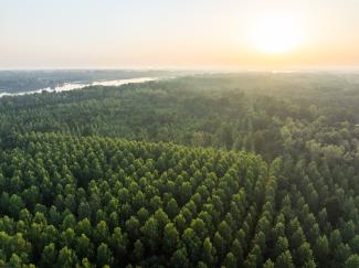 Luchtbeeld Hingenebroekpolder