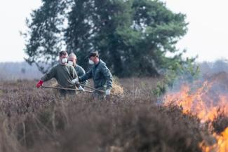 Beheerbrand Mechelse Heide